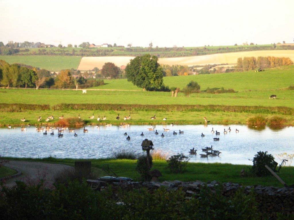 Landschap met vijver in de omgeving van Holset.