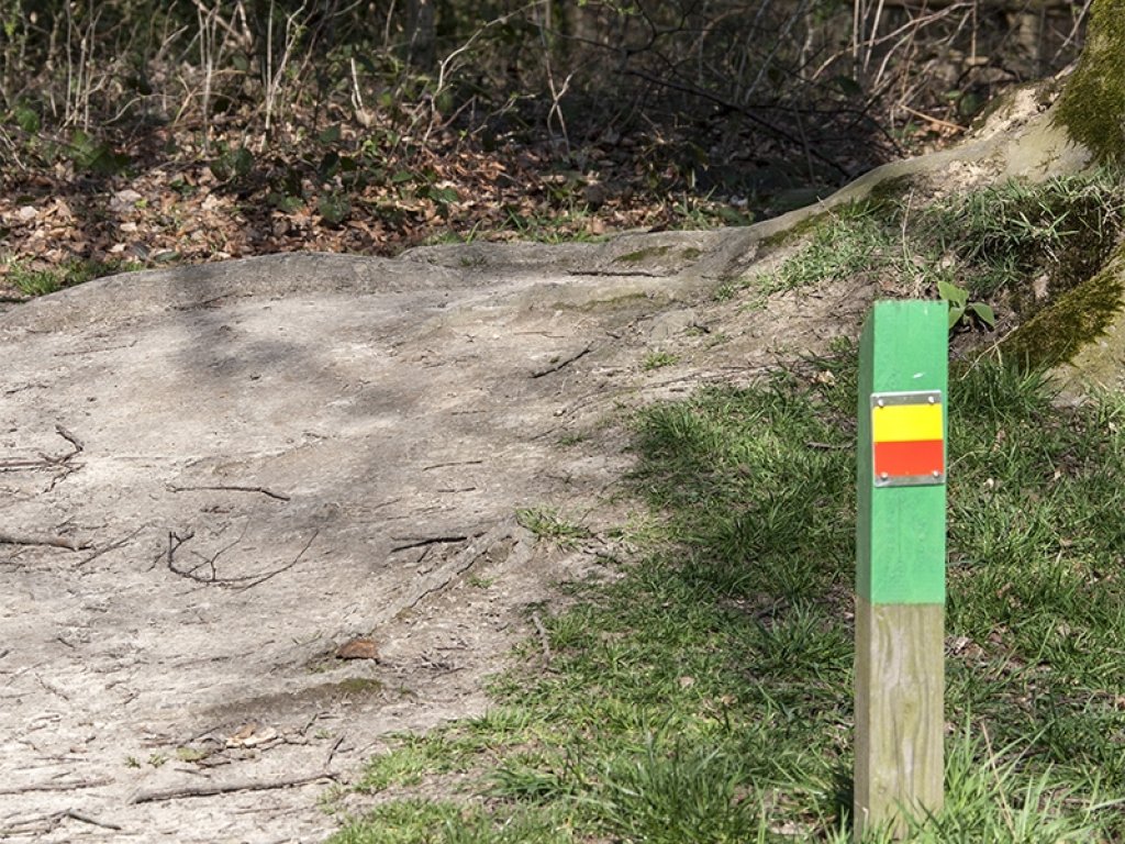 Wandelpad in het bos nabij het Krijtlandpad.